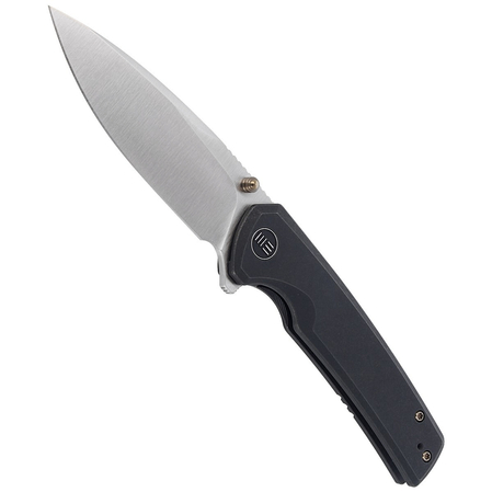 Nóż WE Knife Subjugator Black Titanium, Satin Finish (WE21014C-2)